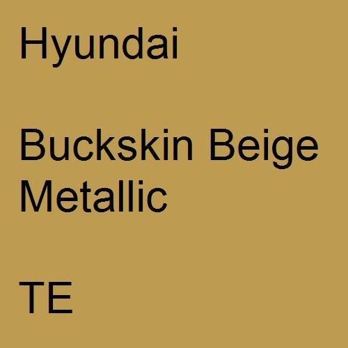 Hyundai, Buckskin Beige Metallic, TE.